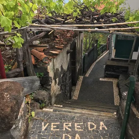 Triplex Terrasse Vue Exclusive Sur L Ocean ,wifi *