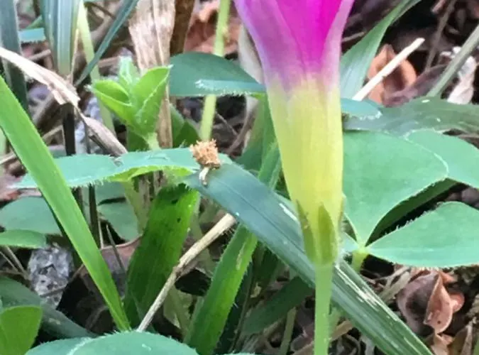 Triplex Terrasse Vue Exclusive Sur L Ocean ,wifi *