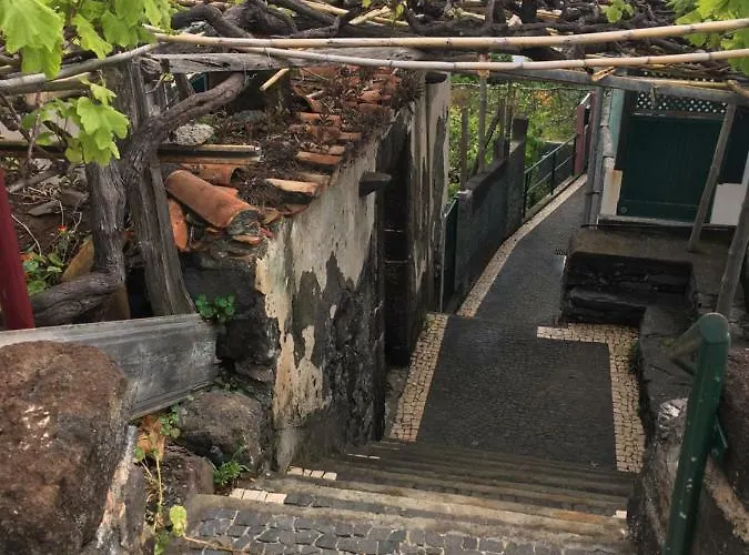 Triplex Terrasse Vue Exclusive Sur L Ocean ,wifi *